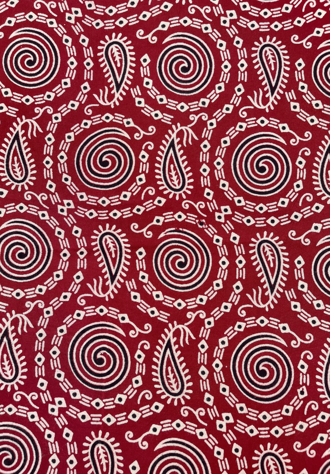 Paisley & Spiral Ajrakh Rayon - Red, Black, & White
