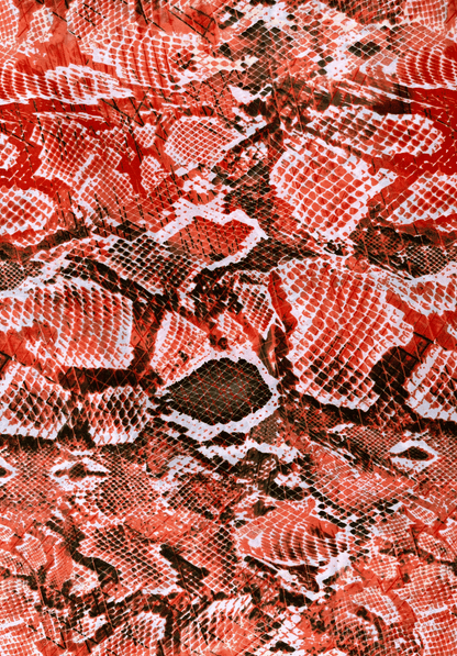 Crimson Venom Crape in Exotic Scale Pattern